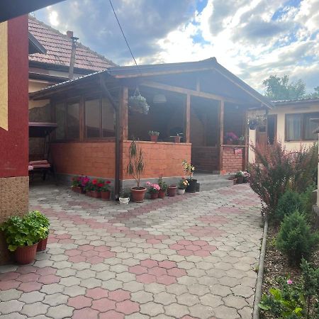 Călimăneşti Casa Flori酒店 外观 照片